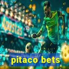 pitaco bets